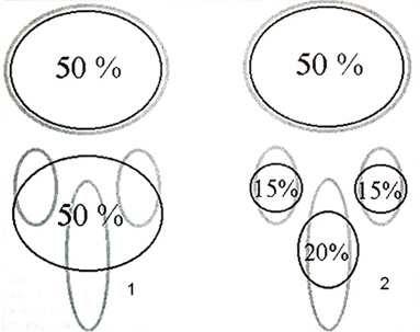 Ориентировочная схема распределения осевых нагрузок на вентральные и дорсальные отделы позвоночника