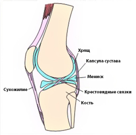 повреждение мениска в коленном суставе 2